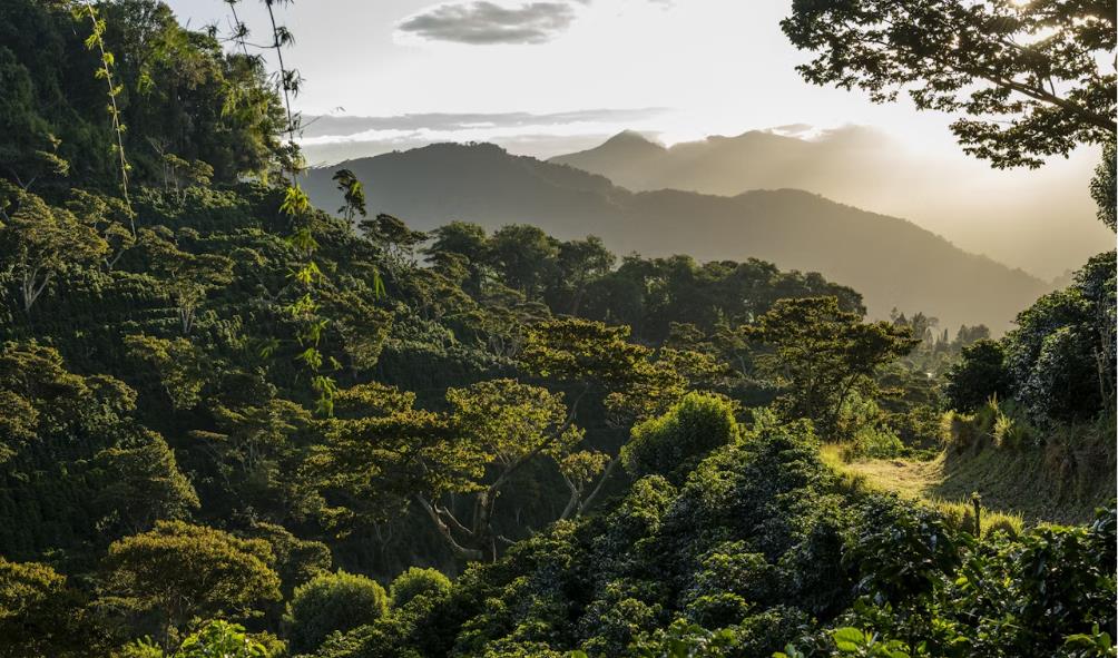 Chiriquí''s educational history 