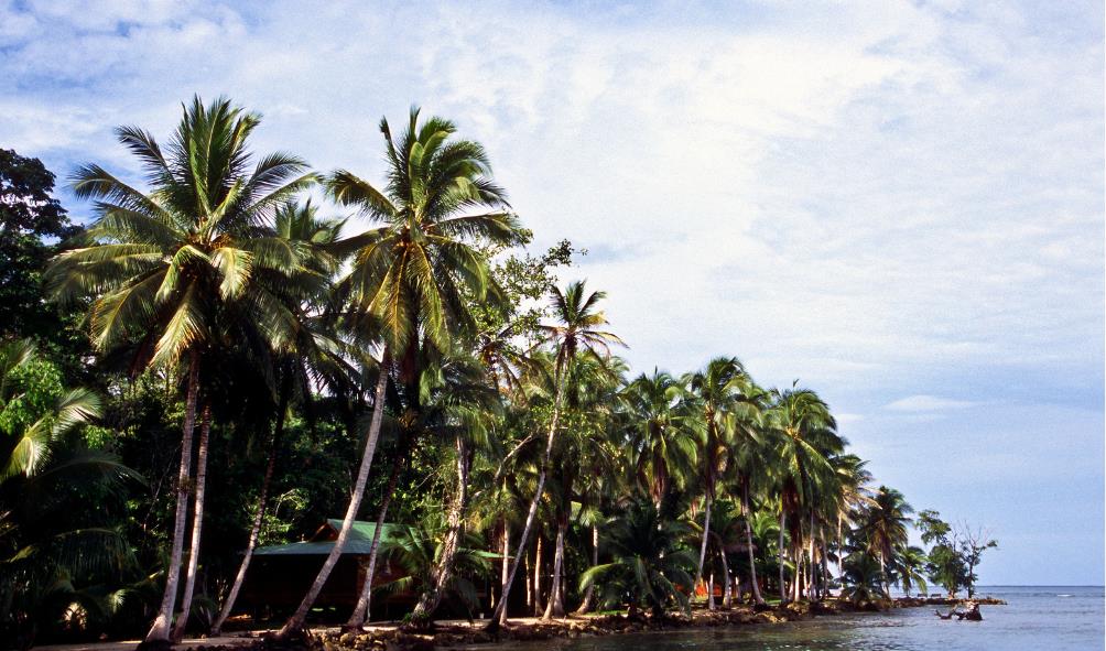 Pirates in Bocas del Toro