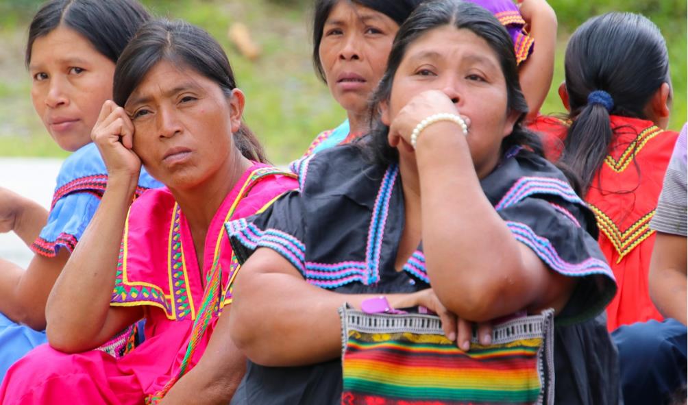 Madugandí Wargandí economic history