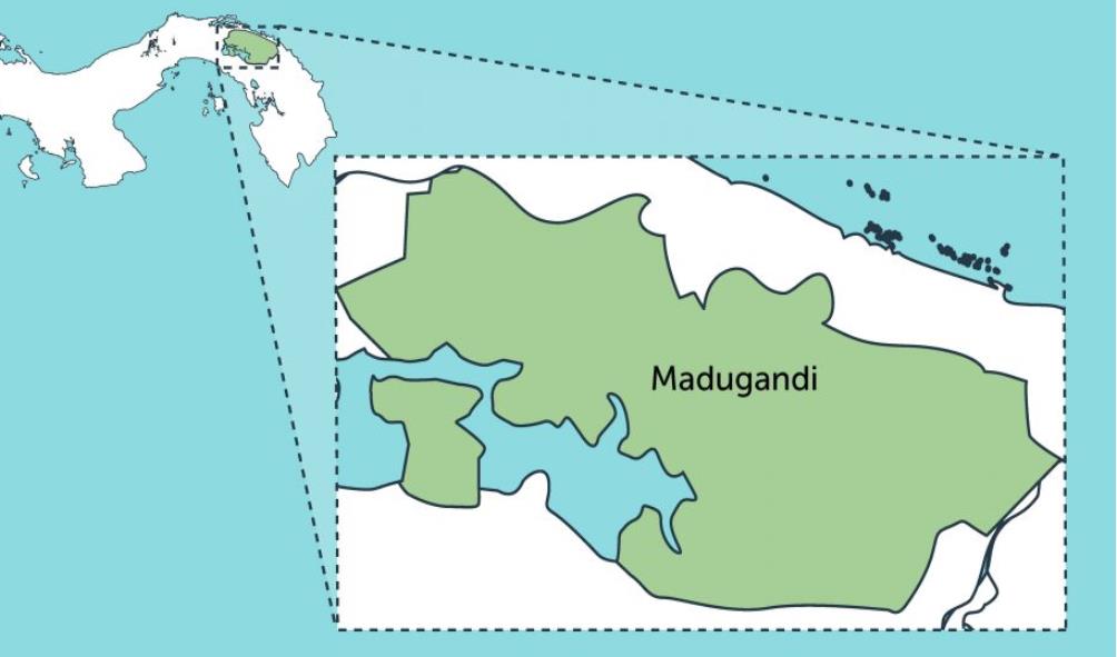 Madugandí Wargandí chronicles