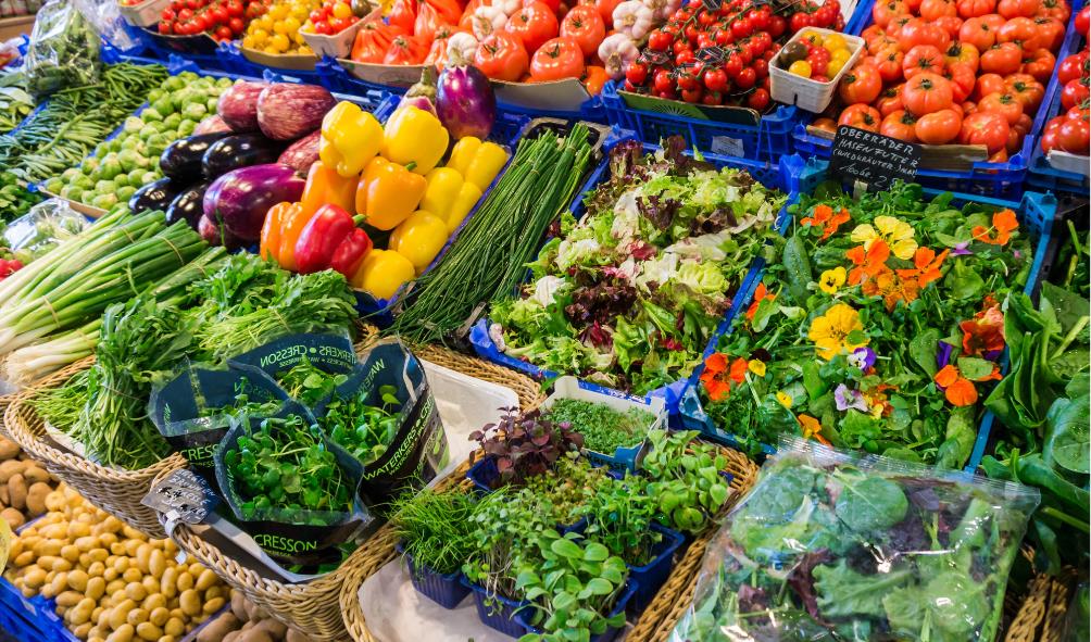 Panama culinary markets