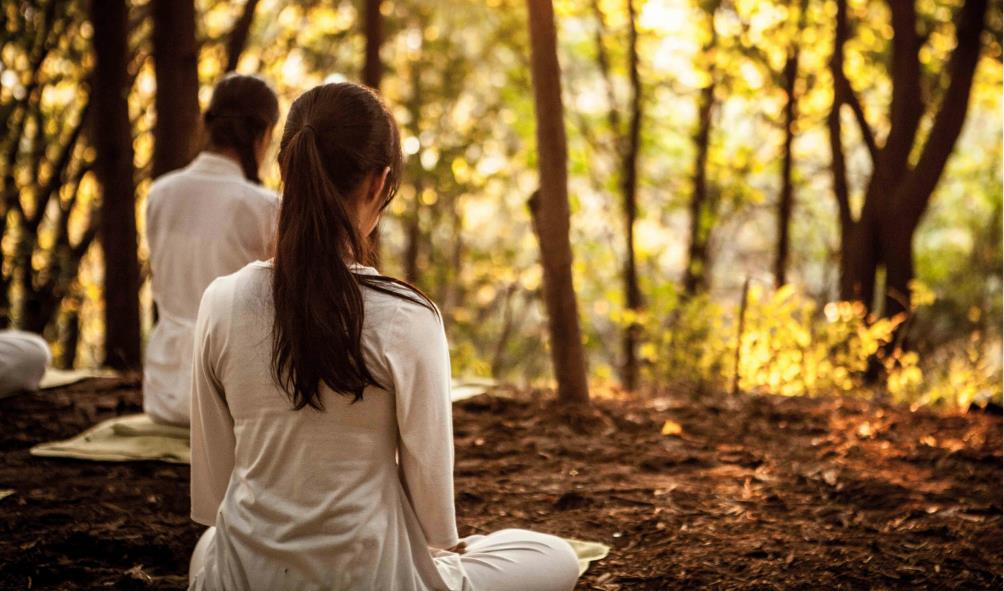 Panama wellness centers 