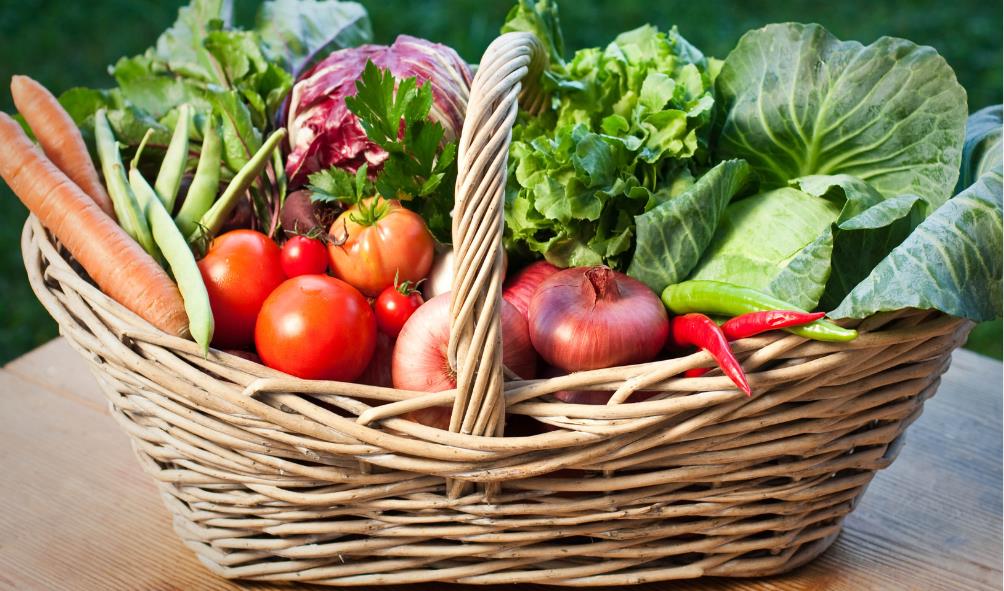 Healthy living in Panama 