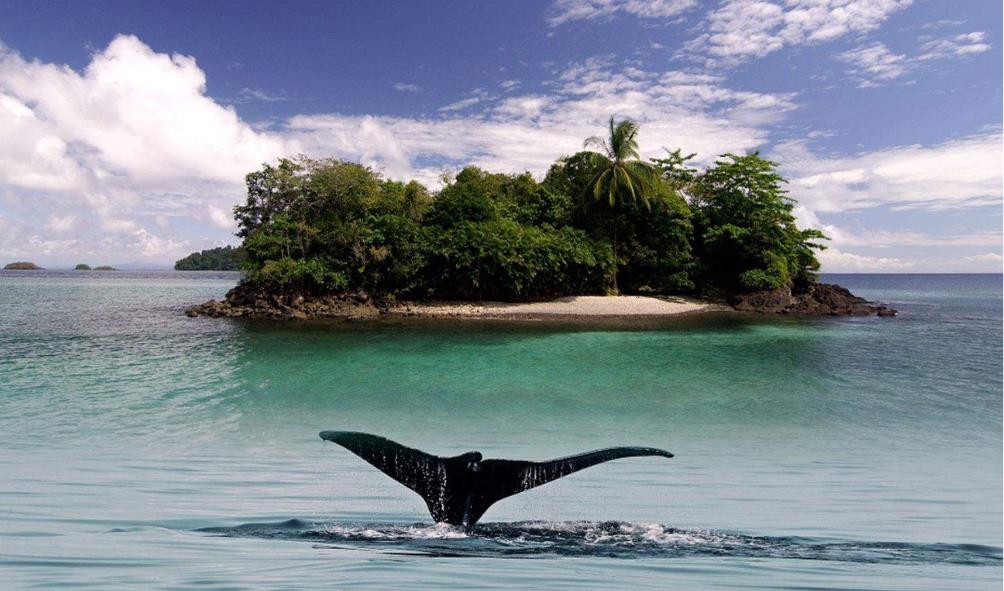 Panama real estate market 