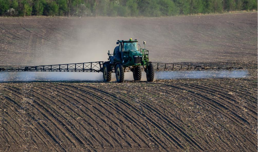 Nutritional foods in Panama 