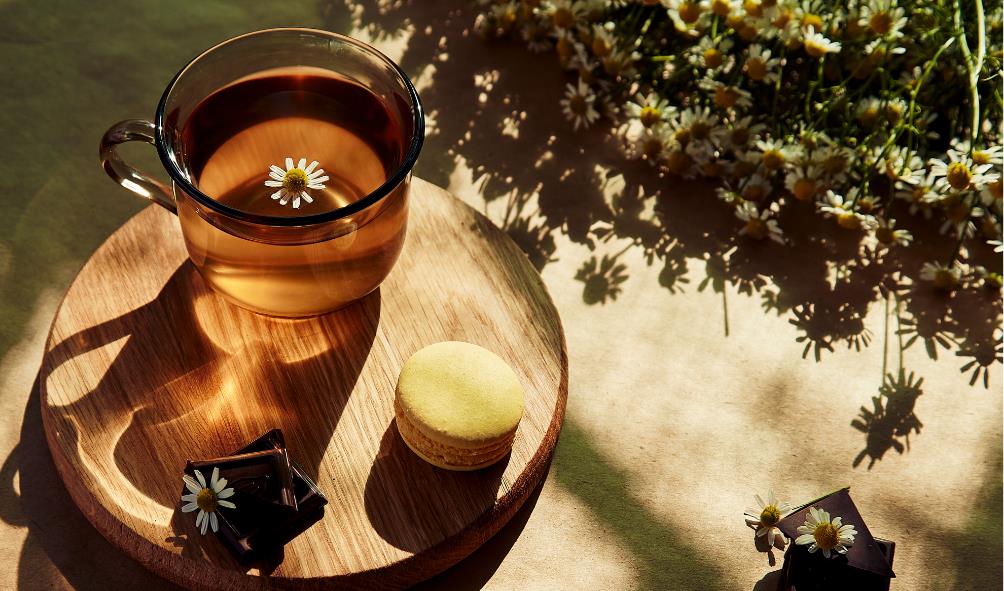 Panama lifestyle for wellness 