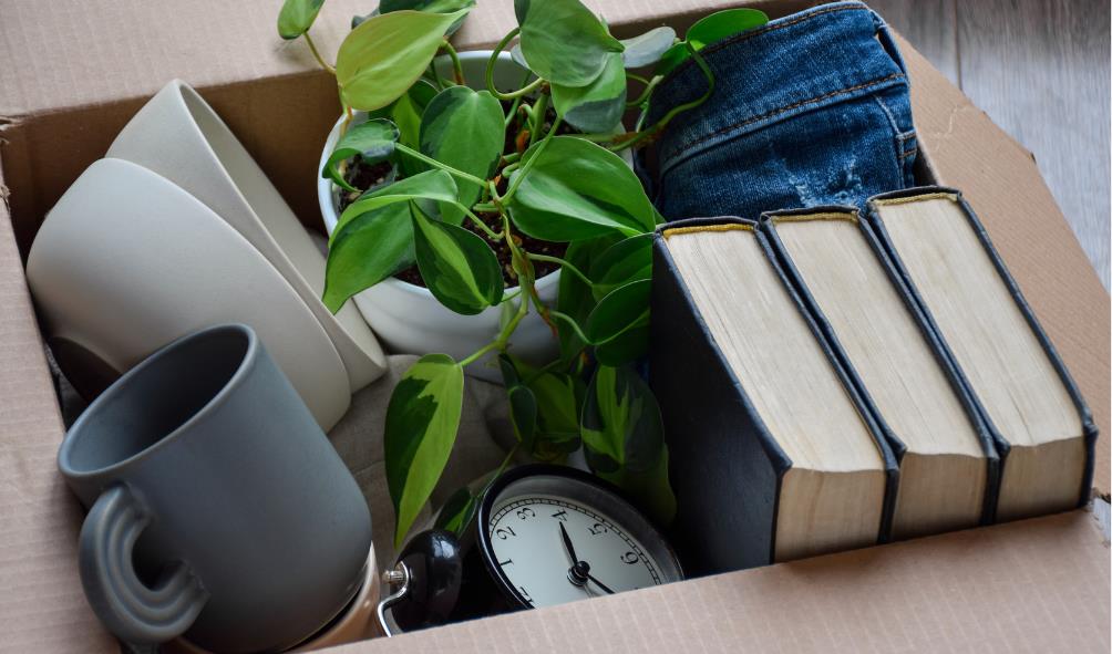 Panama relocation services 