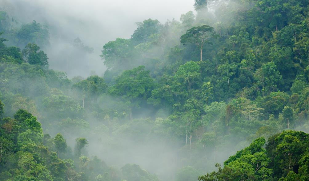Panama culture from expats