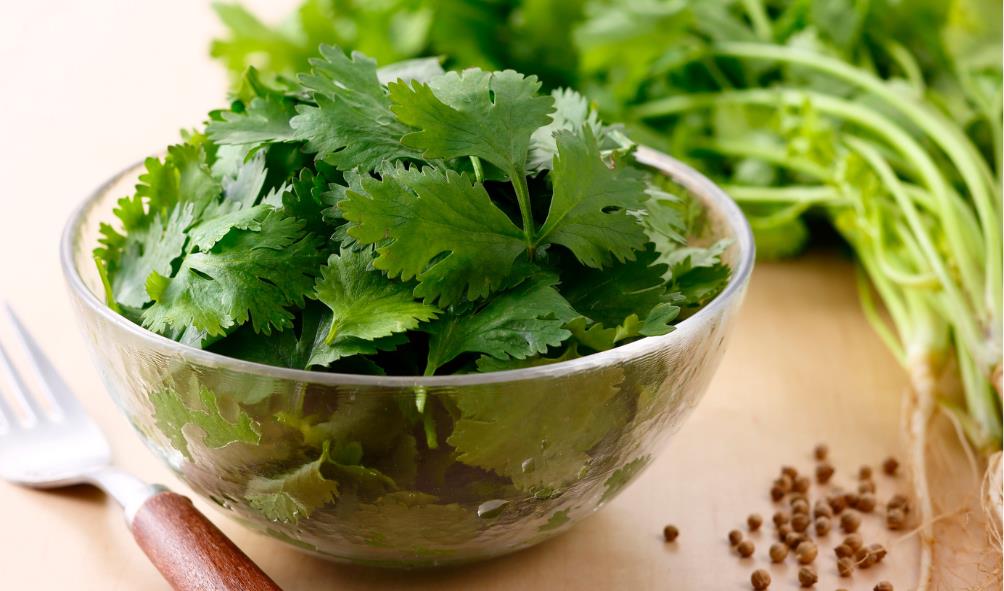 Caribbean-Panama fusion recipes 
