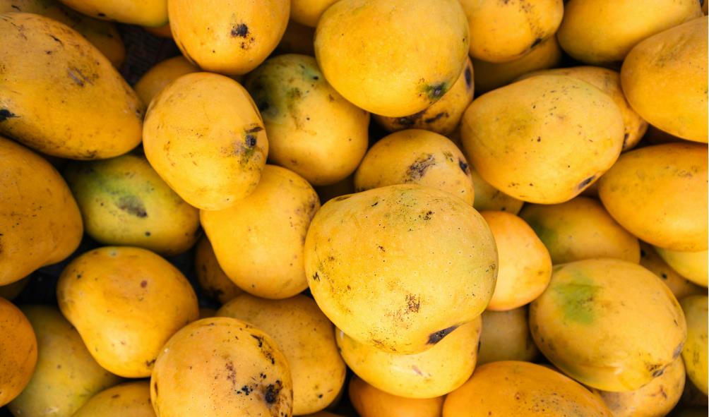 Simple Panamanian recipes 