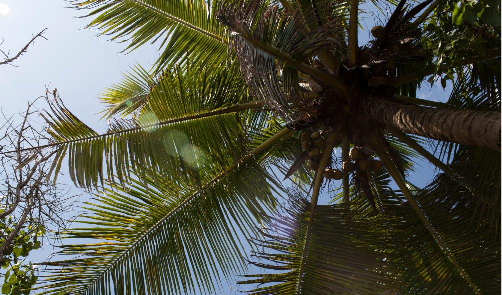 Spiritual retreats Panama 