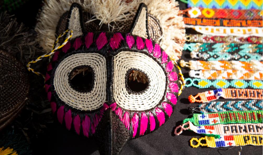 Panama wellness centers 