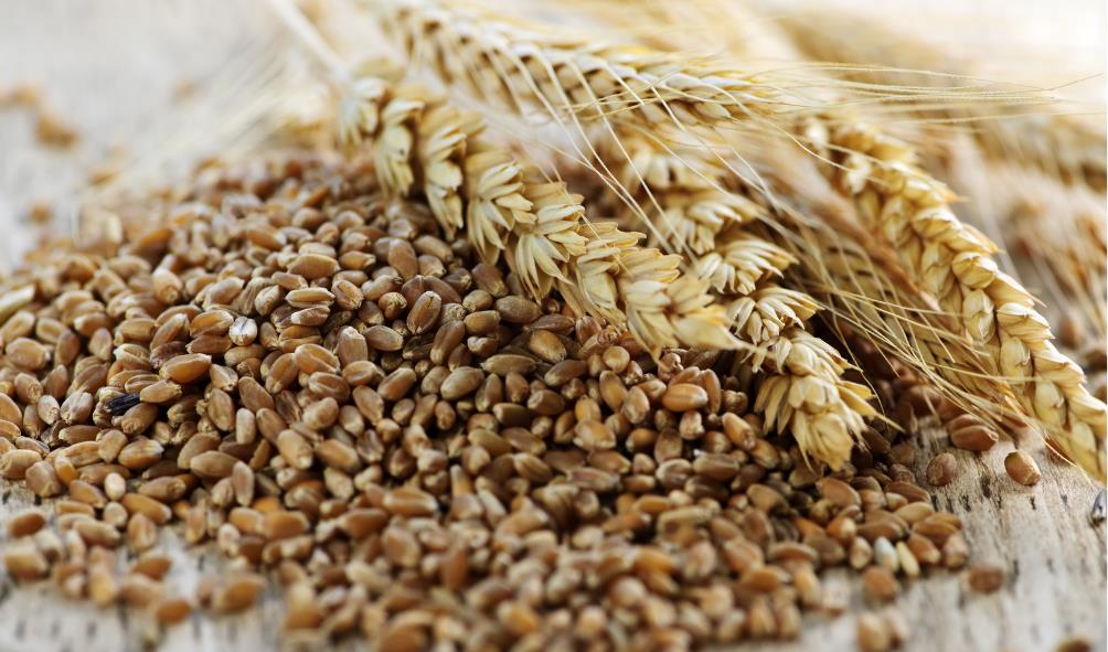 Healthy pantry shopping list