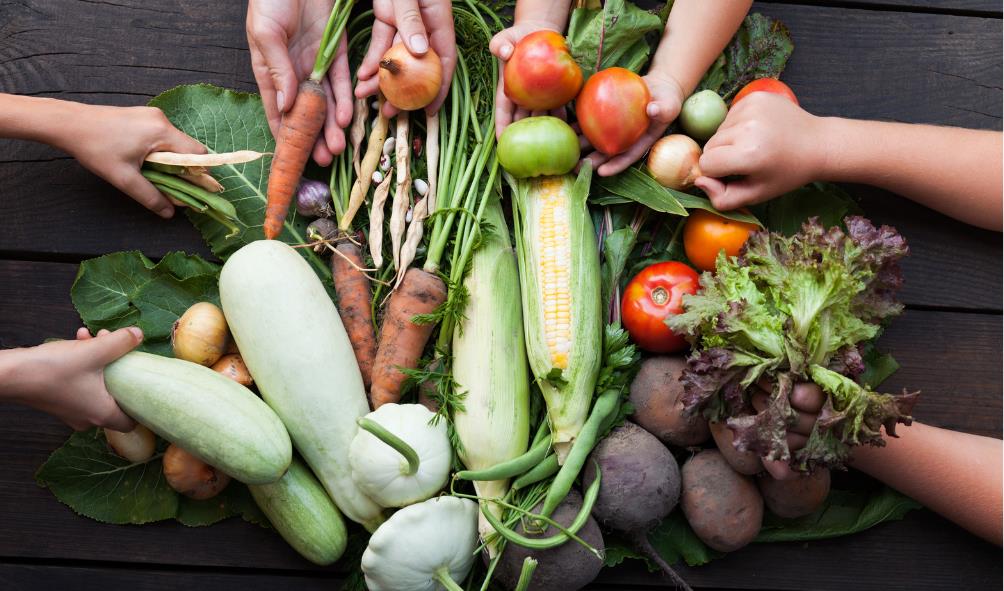 Sustainable crop cultivation Panama