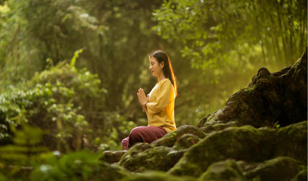 Forest bathing Panama 