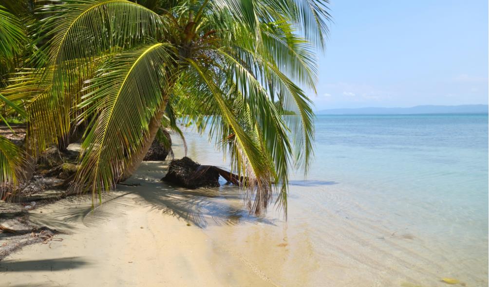 Panama wellness retreats 