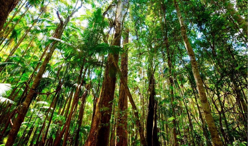 Relaxation retreats Panama 