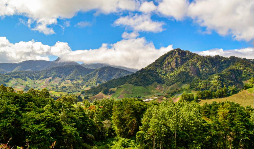 Nature therapy Panama 