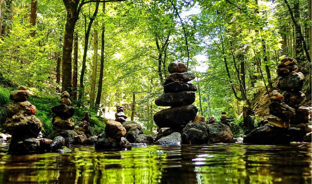 Nature immersion Panama