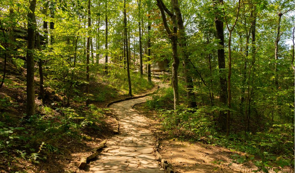 Nature-inspired mental health Panama