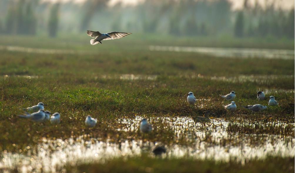 Wellness in nature Panama