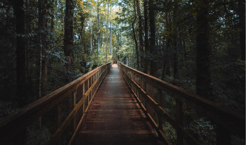 Panama wellness escape