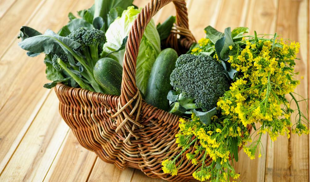 Panamanian diet and hormonal balance 