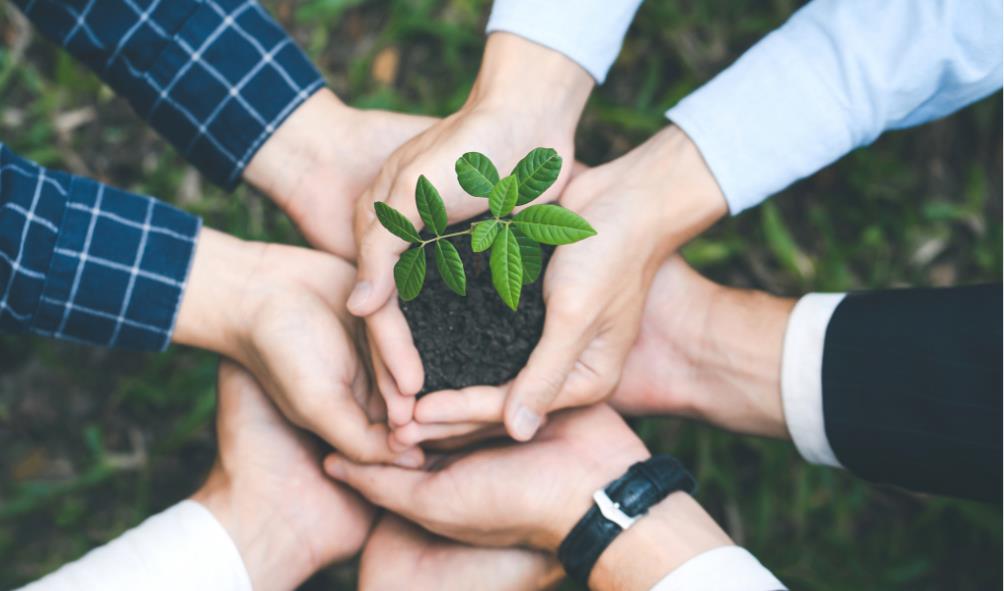 Local diet for weight management