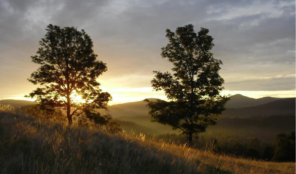 Wellness community living Panama 