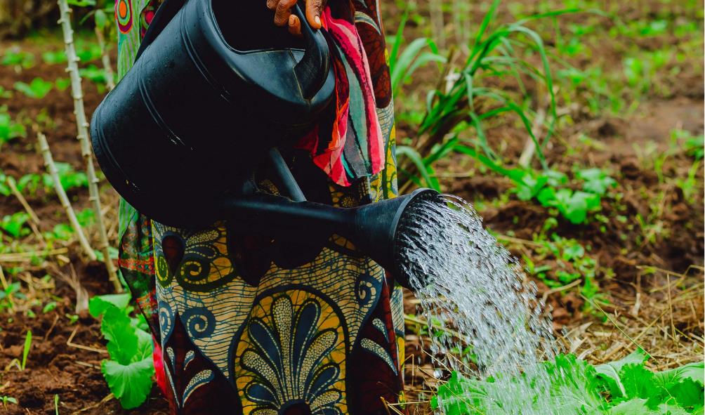 Spiritual wellness communities Panama 