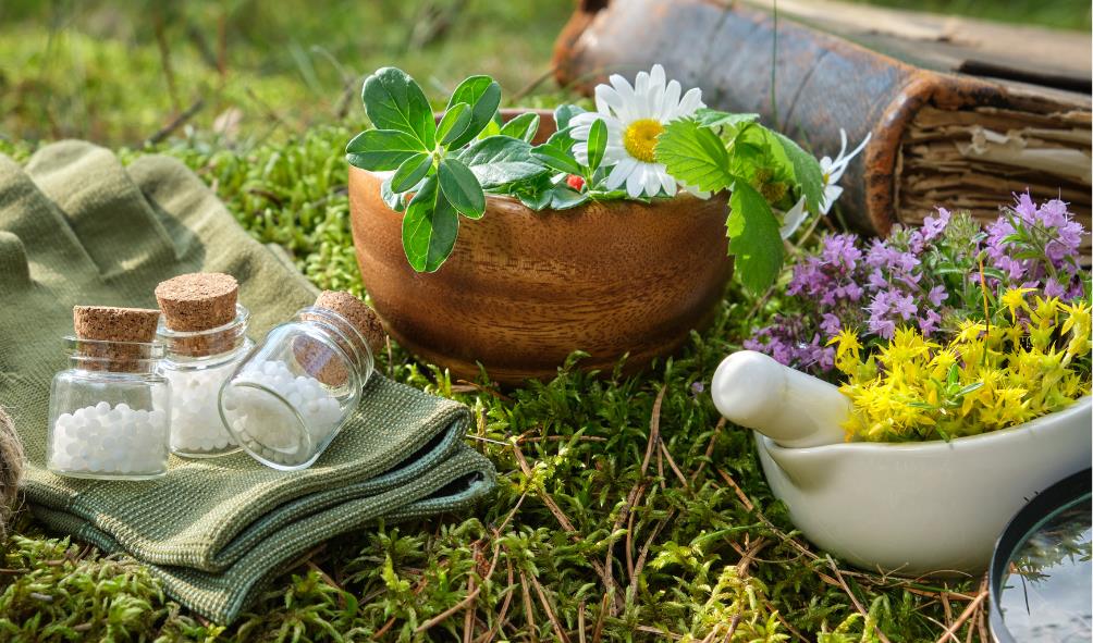 Wellness-focused residences Panama 