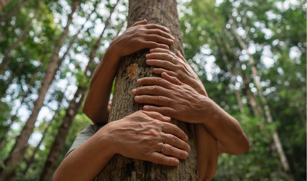 Healthy air Panama