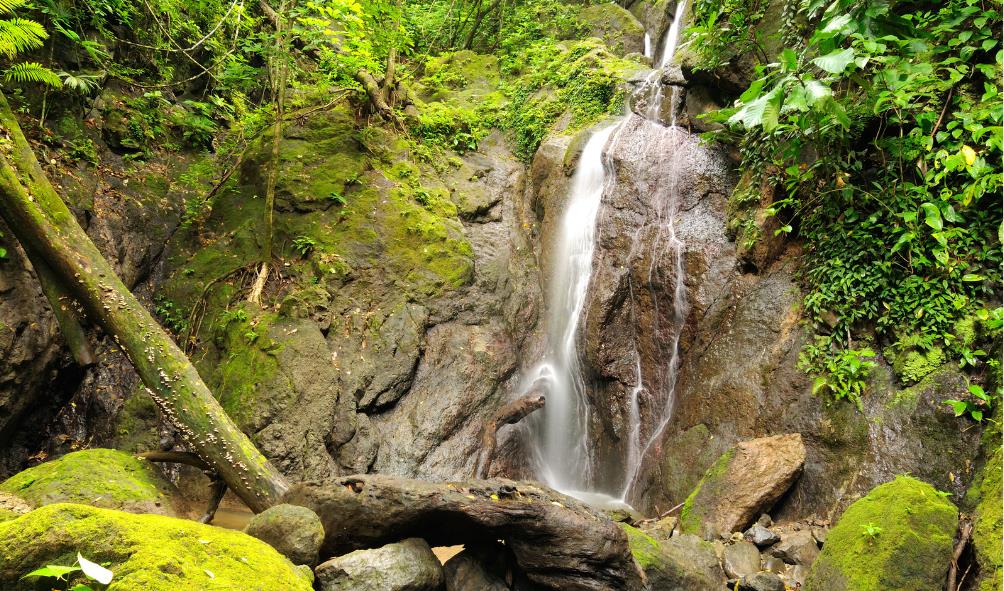 Remote eco lodges Panama