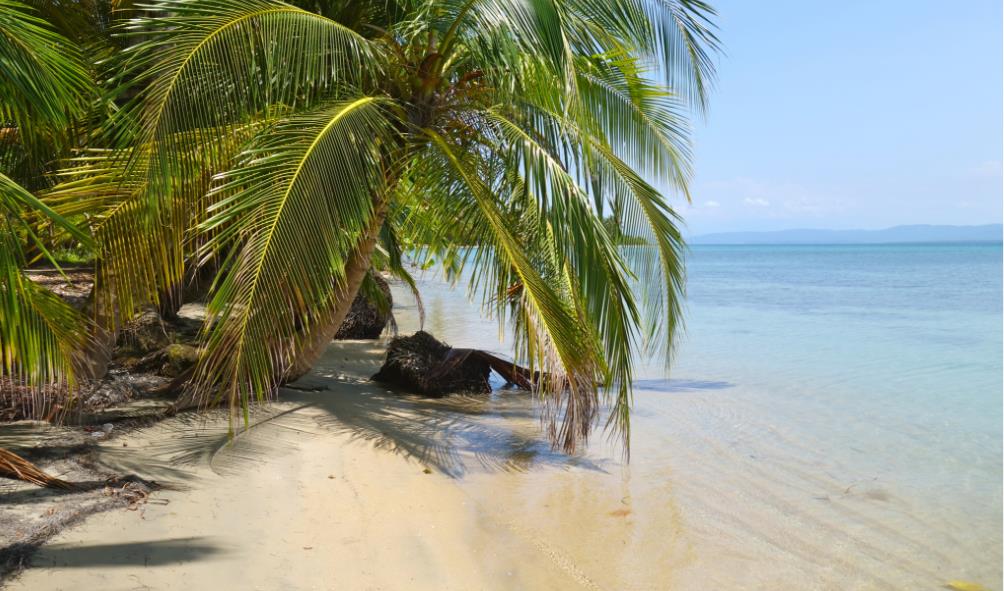 Sea and jungle adventures Panama