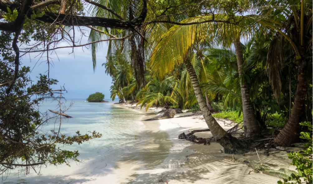 Coastal rainforest Panama