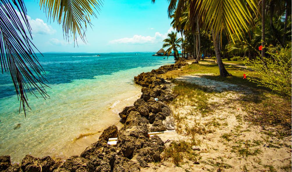 Escape winter to Panama 