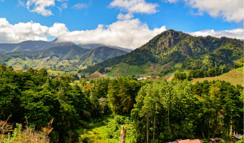 Panama wellness retreats 