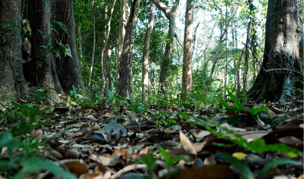 Physical activity Panama vacations 