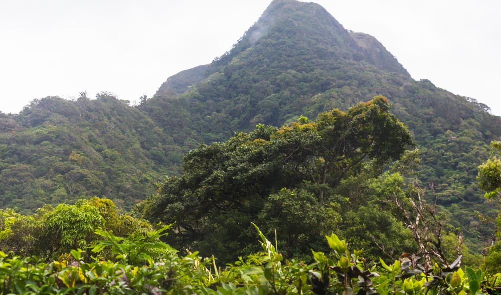Rural Panama attractions 