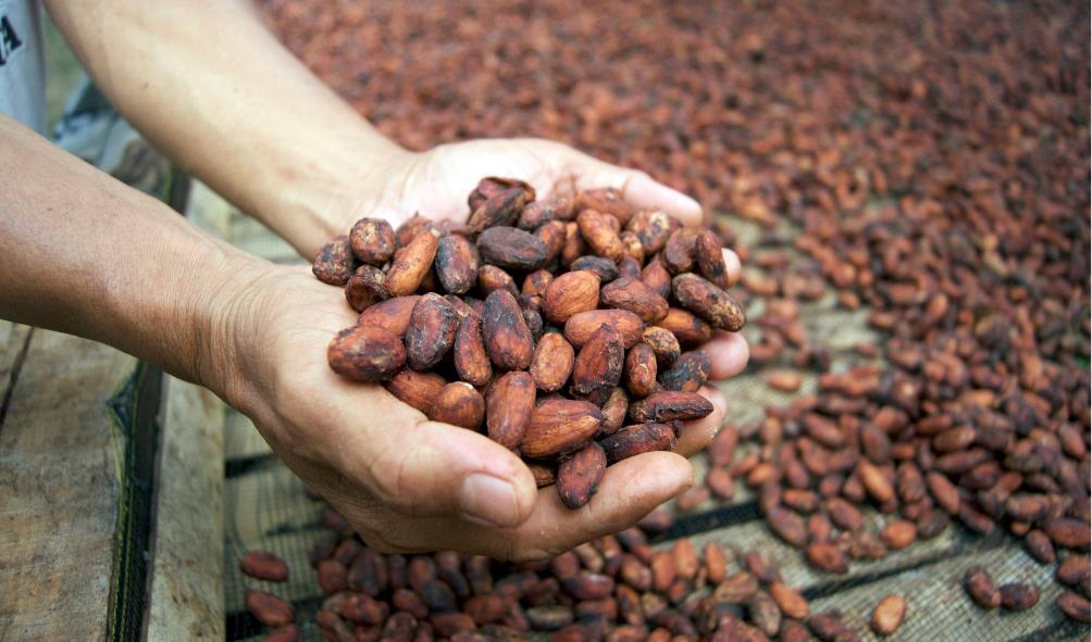 Probiotic-rich Panamanian desserts