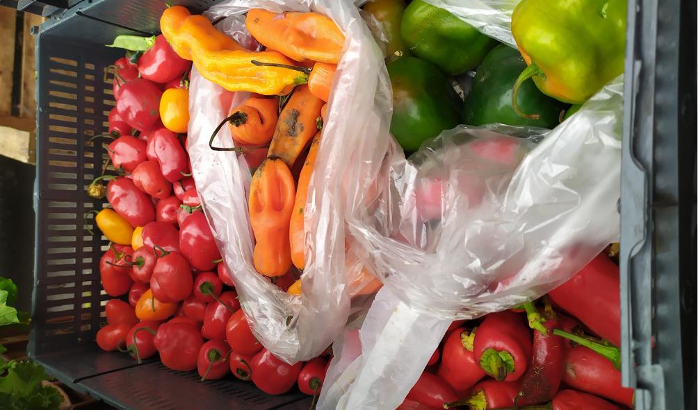 Authentic Panamanian probiotic foods