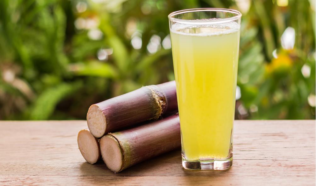 Panama''s top probiotic foods