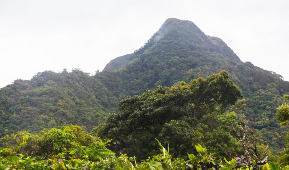 Panama City weekend tour ideas