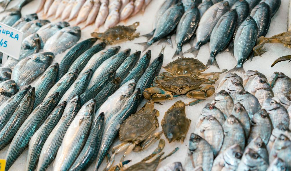 Fish diet Panama