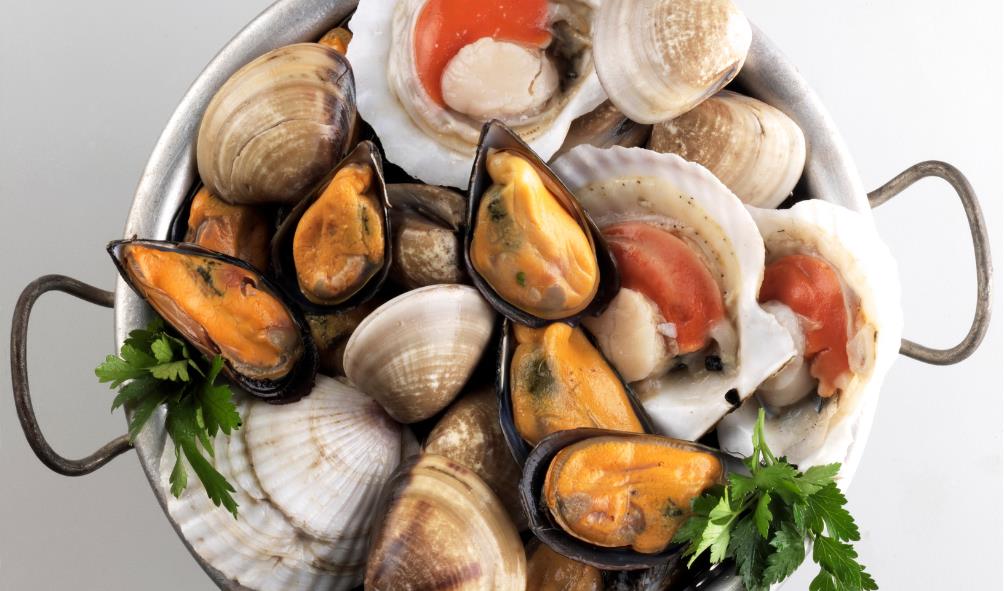 Panamanian ocean cuisine