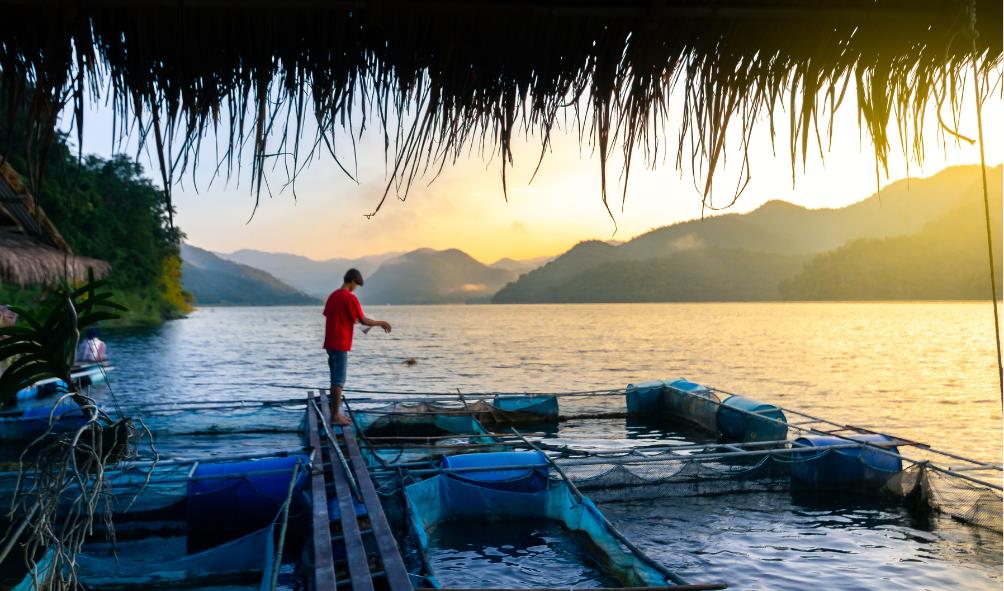 Sustainable seafood Panama