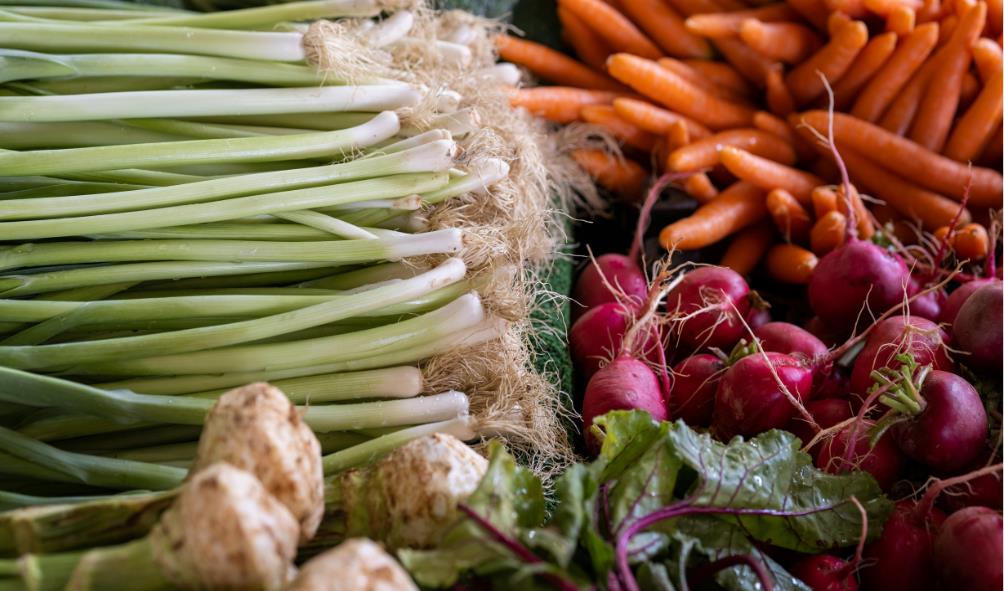 Nutritional benefits in Panama''s children''s diets
