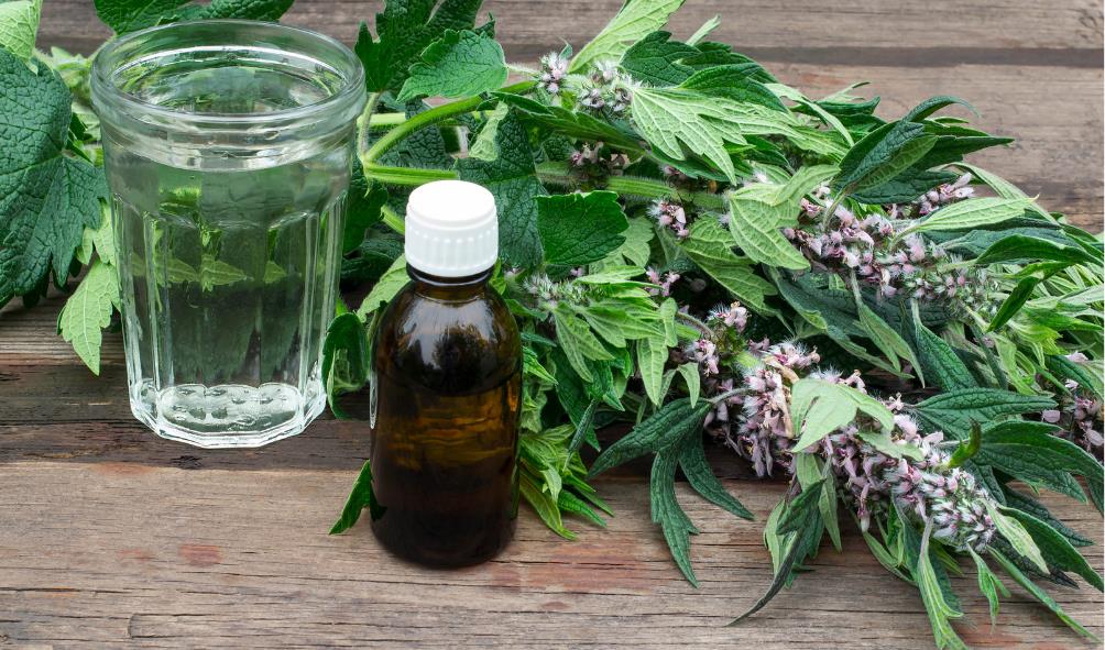 Panama health and wellness 