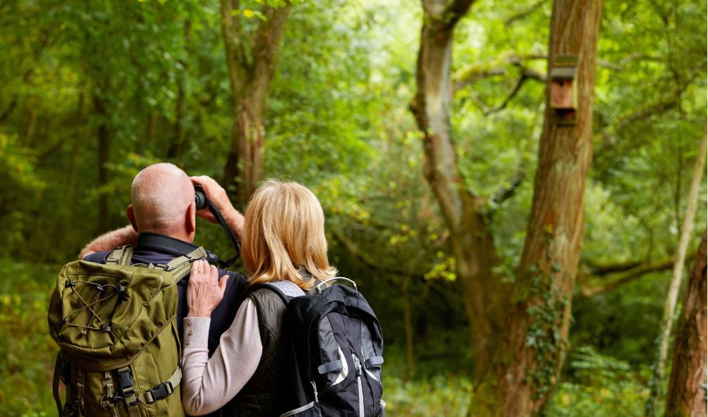 Panama tourism highlights 