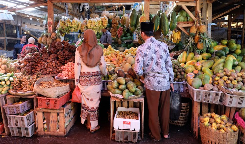 Mindful living in Panama 